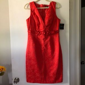 Sleeveless Floral Ellen Tracy Dress